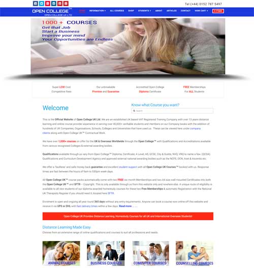 Bluestar Website Design 2